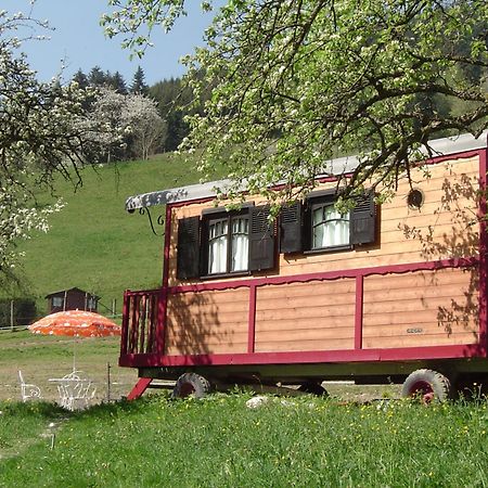 Vila Le Repaire De Mitzerle Mitzach Exteriér fotografie
